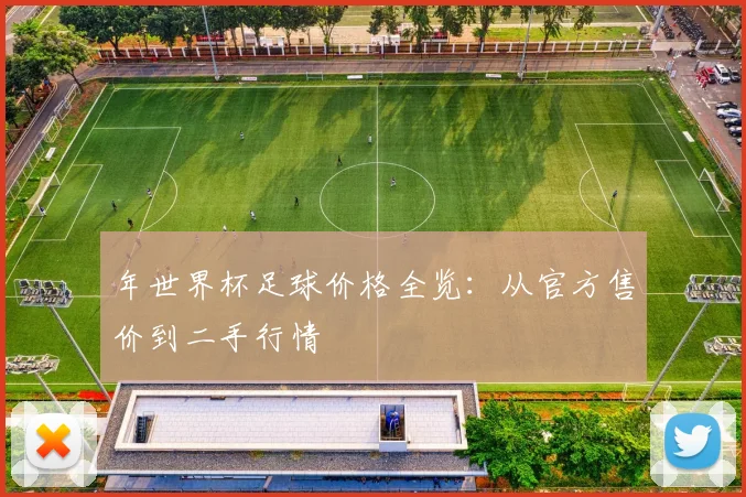 年世界杯足球价格全览：从官方售价到二手行情