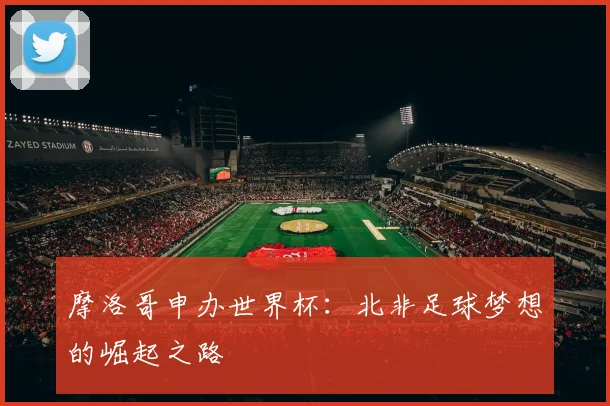 摩洛哥申办世界杯：北非足球梦想的崛起之路