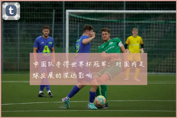 中国队夺得世界杯冠军：对国内足球发展的深远影响