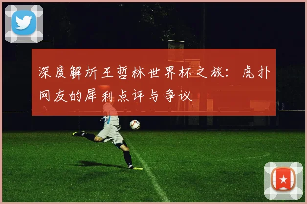 深度解析王哲林世界杯之旅：虎扑网友的犀利点评与争议