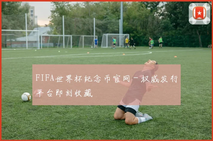 FIFA世界杯纪念币官网 - 权威发行平台即刻收藏