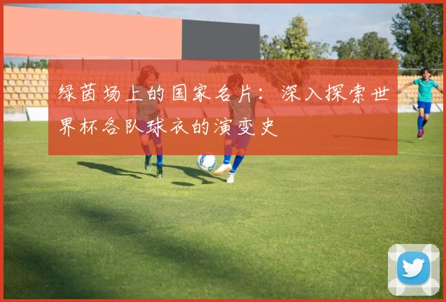 绿茵场上的国家名片：深入探索世界杯各队球衣的演变史