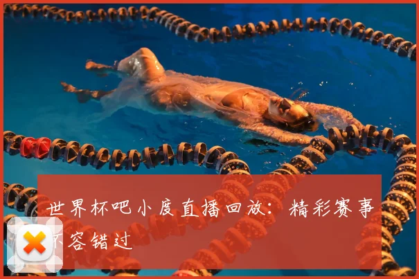 世界杯吧小度直播回放:精彩赛事不容错过