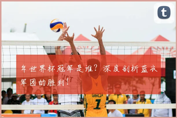 年世界杯冠军是谁?深度剖析蓝衣军团的胜利!