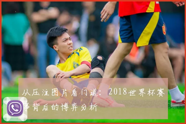 从压注图片看门道:2018世界杯赛事背后的博弈分析
