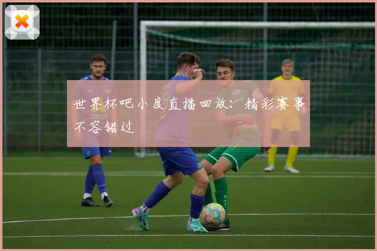 世界杯吧小度直播回放:精彩赛事不容错过