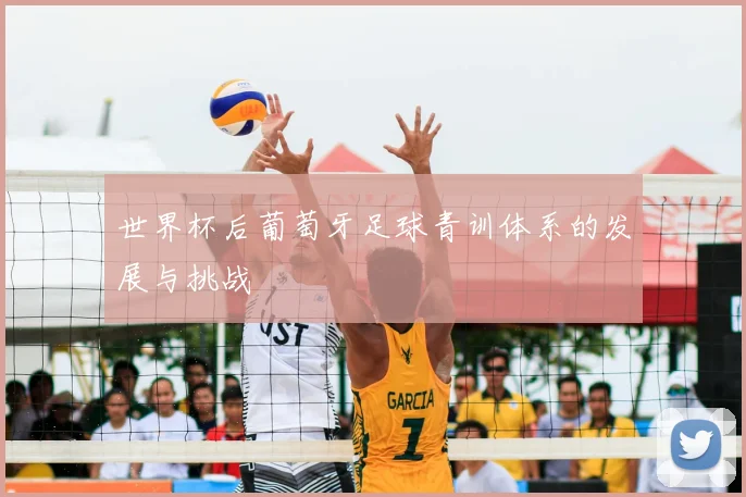 世界杯后葡萄牙足球青训体系的发展与挑战