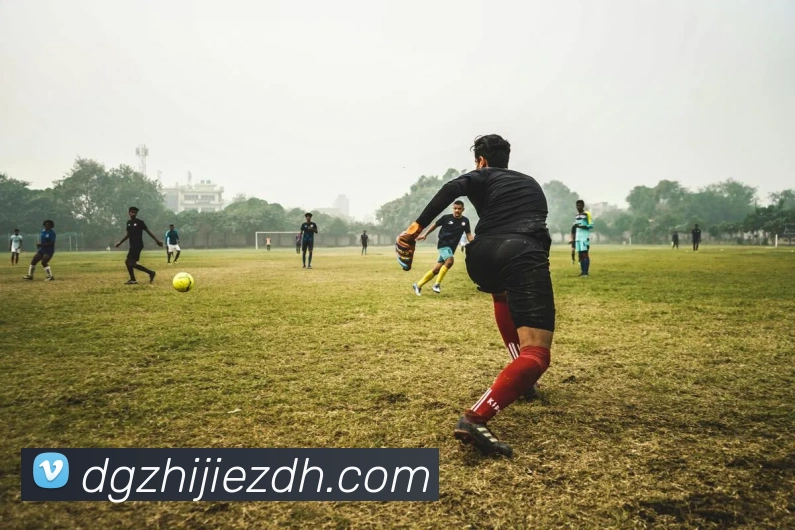 新半岛官网APP 高清赛事图